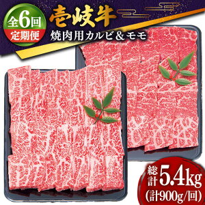 yӂ邳Ɣ[ŁzyS6ցz  ēZbgiJr400gE500gj[JDD019] Ⓚz јa A5N   ē Zbg Jr  Ԑg BBQ ēp 216000 216000~