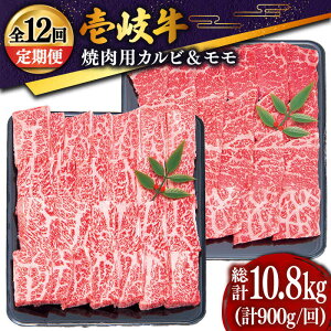 yӂ邳Ɣ[ŁzyS12ցz  ēZbgiJr400gE500gj[JDD020] Ⓚz јa A5N   ē Zbg Jr  Ԑg BBQ ēp 432000 432000~