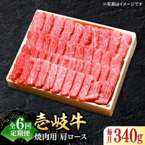 yӂ邳Ɣ[ŁzyS6ցz I  [X 340giēpjsstyzz[JDL071] Ⓚz јa A5N   a јa  ~ ē [X BBQ 