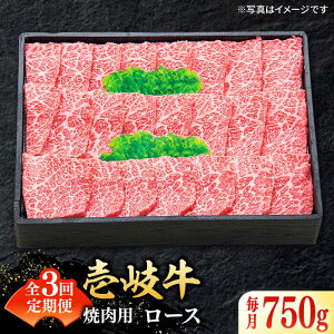 yӂ邳Ɣ[ŁzyS3ցz I  [X 750giēpjsstyzz[JDL076] Ⓚz јa A5N   a јa   ~ ē [X BBQ 