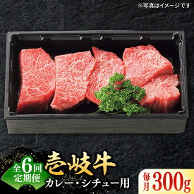 【ふるさと納税】【全6回定期便】＼ぐるナイで紹介／ 特選 壱岐牛 すね肉 300g（カレー・シチュー用）《壱岐市》【太陽商事】[JDL080] 黒毛和牛 A5ランク 肉 牛肉 黒毛和牛 ブランド牛 カレー シチュー 赤身 チマキ 煮込み ブロック 国産 九州 お祝い 54000 54000円