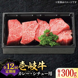 【ふるさと納税】【全12回定期便】 特選 壱岐牛 すね肉 300g（カレー・シチュー用）《壱岐市》【太陽商事】[JDL081] 冷凍配送 黒毛和牛 A5ランク 肉 牛肉 黒毛和牛 ブランド牛 カレー シチュー 赤身 チマキ 煮込み ブロック 国産 お祝い 100000 100000円 10万円