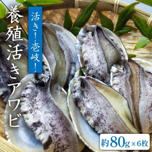 yӂ邳Ɣ[ŁzY{BAr IIAri480gj 80g×6 [JDQ002] //BBQ 23000 23000~ ̂ v[g Mtg ①z
