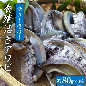 yӂ邳Ɣ[ŁzY{BAr IIAri640gj 80g×8 [JDQ003]//BBQ 29000 29000~ ̂ v[g Mtg ①z