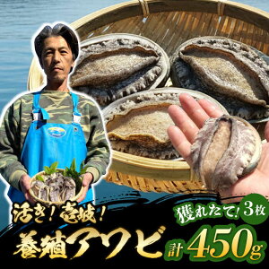 yӂ邳Ɣ[ŁzY{BAr IIAr v450gi150g×3jsstyZgYzAr  {B L CY  L Yn hg ①[JDQ008]