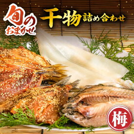 【ふるさと納税】旬のおまかせ 干物詰め合わせ 《梅》《壱岐市》【ひものや 塚元】[JDR001] 干物 ひもの あじ アジ いわし イワシ いか イカ 魚介 海鮮 和食 おつまみ 13000 13000円