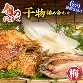 【ふるさと納税】【全6回定期便】旬のおまかせ 干物詰め合わせ 《梅》《壱岐市》【ひものや 塚元】[JDR010] 干物 ひもの あじ アジ いわし イワシ いか イカ 魚介 海鮮 和食 おつまみ 78000 78000円
