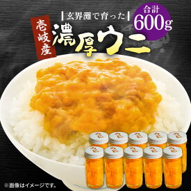 【ふるさと納税】壱岐産 濃厚 ウニ 60g ×10本《壱岐市》【合同会社塚元】ムラサキウニ 海産物 海鮮 ウニ うに 雲丹 珍味[JDR042] 200000 200000円 20万円
