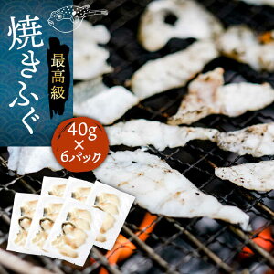 yӂ邳Ɣ[ŁzĂӂ 40g×6pbN sstyȂ͂z[JDT012] ӂ tO ͓ Ƃӂ gtO Ăӂ Ăӂ ĂtO ܂  c}~ 28000 28000~ Ⓚz