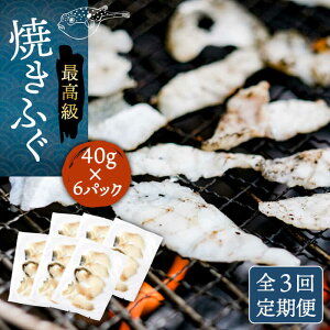 yӂ邳Ɣ[ŁzyS3ցzĂӂ 40g×6pbN sstyȂ͂z[JDT051] ӂ tO ͓ Ƃӂ gtO Ăӂ Ăӂ ĂtO ܂  c}~ 84000 84000~ Ⓚz