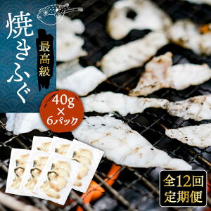 yӂ邳Ɣ[ŁzyS12ցzĂӂ 40g×6pbN sstyȂ͂z[JDT053] ӂ tO ͓ Ƃӂ gtO Ăӂ Ăӂ ĂtO ܂  c}~ 336000 336000~ Ⓚz