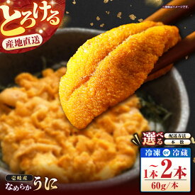 【ふるさと納税】【選べるお届け内容】壱岐の生うに《壱岐市》【大幸物産】[JEH001] 生うに ウニ うに 雲丹 ムラサキウニ 紫うに ミョウバン不使用 ふるさと納税 うに ふるさと納税 ウニ 壱岐 冷凍 冷蔵