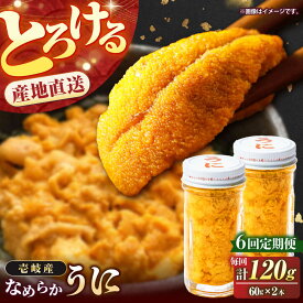 【ふるさと納税】【全6回定期便】壱岐の生うに 2本セット《壱岐市》【大幸物産】[JEH006] 生うに ウニ うに 雲丹 ムラサキウニ 紫うに 海鮮 魚介 200000 200000円 20万円