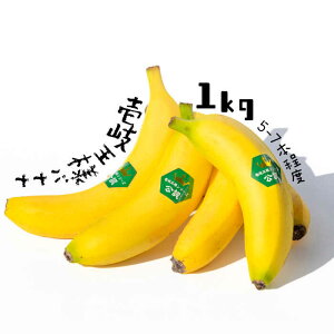 【ふるさと納税】バナナ 1kg（5 - 7本程度） 皮ごと食べられる！壱岐王様バナナ [JEL001]