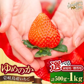 【ふるさと納税】【選べるお届け内容】ゆめのか 約500g / 1kg《壱岐市》【Strawberry Gang】 [JEM001/003/005/006] セット いちご イチゴ 苺 果物 フルーツ スムージー 訳あり
