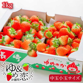 【ふるさと納税】家庭用 バラ詰め イチゴ 1kg （ゆめのか・恋みのり）《壱岐市》【蒼花】[JEO002] いちご イチゴ 苺 フルーツ 果物 ゆめのか 恋みのり 冷蔵配送 10000 10000円