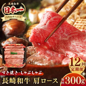 yӂ邳Ɣ[ŁzyS12ցza [X 300giĂEԂԗpjsstyt[hT[rXz   Ԑg  Ԃ  Ⓚz[JEP014]