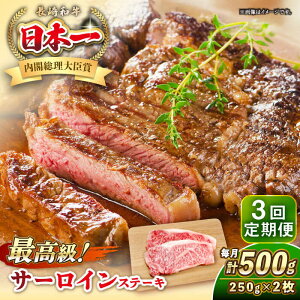 yӂ邳Ɣ[ŁzyS3ցza T[C Xe[L 250g×2 sstyKRAZY MEATz A5 A4 Ⓚ a   BBQ [JER121] r[T
