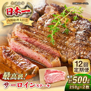 yӂ邳Ɣ[ŁzyS12ցza T[C Xe[L 250g×2 sstyKRAZY MEATz A5 A4 Ⓚ a   BBQ [JER123]