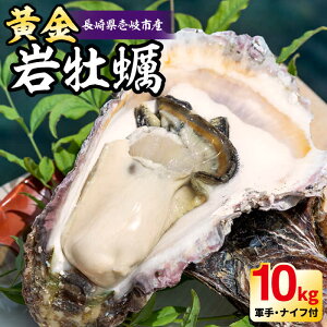 yӂ邳Ɣ[Łzy26N5ȍ~zy\tzY ≲y 10kg sstyΑNz y JL KL ₪ CN L L BBQ [JEV003] 70000 70000~ ̂ v[g Mtg ①
