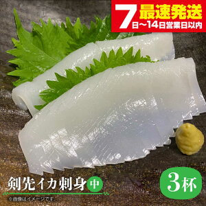 yӂ邳Ɣ[ŁzCJ hgij3tsstyЃ}VEz[JEW003]  CJ 悢 Zbg ܂ VN CN hg 15000 15000~ Ⓚz