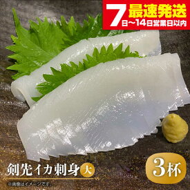【ふるさと納税】剣先イカ 刺身（大）3杯《壱岐市》【株式会社マルショウ】[JEW004] いか イカ 冷凍 剣先いか いかさし 海産物 魚介 刺し身 18000 18000円 冷凍配送