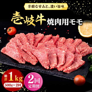 yӂ邳Ɣ[ŁzyS2ցz  ēp  500gsstyЃC`}z   ē  BBQ[JFE124]
