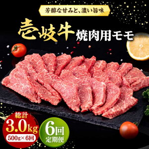 yӂ邳Ɣ[ŁzyS6ցz  ēp  500gsstyЃC`}z[JFE073] Ⓚz јa A5N    ē Ă  BBQ Ԑg 144000 144000~