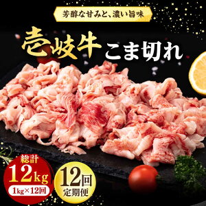 yӂ邳Ɣ[ŁzyS12ցz  ܐ؂ ioj 1kgsstyЃC`}z[JFE078] Ⓚz јa A5N    א؂ Ԑ؂ BBQ ē Ă Ԑg 37200
