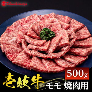 yӂ邳Ɣ[ŁzyIizqs_Ƌgr  ēp 500gsst  ē [JFJ031] Ⓚz јa A5N 25000 25000~