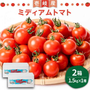 �y�ӂ邳�Ɣ[�Łz�~�f�B�A���g�}�g �o�� 3kg�i1.5kg×2���j�s���s�t�yISLAND FARM�z �g�}�g ���N ��� �� 22000 22000�~ [JFL002] �①�z��