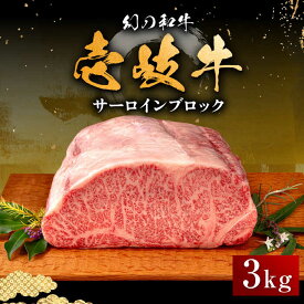 【ふるさと納税】【お中元対象】壱岐牛 サーロイン ブロック 3kg 《壱岐市》【中津留】[JFS004] 冷凍配送 黒毛和牛 A5ランク サーロイン ステーキ 焼肉 BBQ 牛肉 肉 サーロインステーキ 赤身 焼き肉 ブロック肉 ブロック イベント 191000 191000円 焼肉用