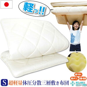 yӂ邳Ɣ[Łzyʑ̈UOw~zcin[h^CvjyVOF100×210cmzssty߉zzc ӂƂ ~zc Q  VO n[h y [ E^[JFU021]