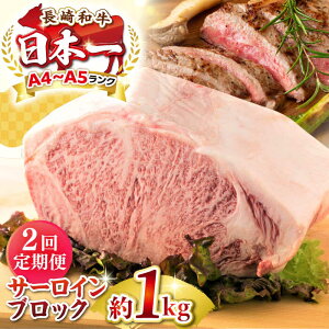 yӂ邳Ɣ[ŁzyS2ցzyA4`A5Nza T[CubN@1kgsstyMEAT PLUSz   јa T[C Xe[L ubN J Mtg p 