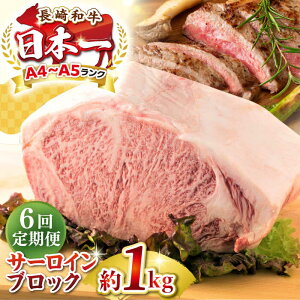 yӂ邳Ɣ[ŁzyS6ցzyA4`A5Nza T[CubN@1kgsstyMEAT PLUSz   јa T[C Xe[L ubN J Mtg p 