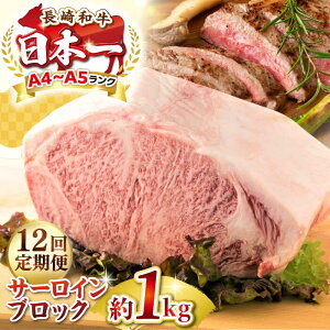 yӂ邳Ɣ[ŁzyS12ցzyA4`A5Nza T[CubN@1kgsstyMEAT PLUSz   јa T[C Xe[L ubN J Mtg p