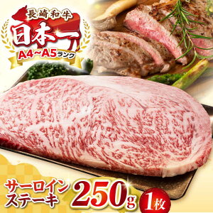 yӂ邳Ɣ[ŁzyA4`A5Nza T[CXe[L 250gi250g×1jsstyMEAT PLUSz   јa T[C Xe[L J Mtg p J Ⓚz 