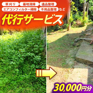 yӂ邳Ɣ[ŁzEn|Eȋs`Pbg30,000~ssty֗Ƃz[JGX003]