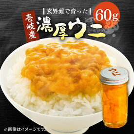 【ふるさと納税】壱岐産 濃厚 ウニ60g《壱岐市》【合同会社塚元】ムラサキウニ 海産物 海鮮 ウニ うに 雲丹 珍味 [JDR021] 16000 16000円 のし プレゼント ギフト 冷凍配送