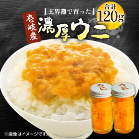 【ふるさと納税】壱岐産 濃厚 ウニ 60g ×2本《壱岐市》【合同会社塚元】ムラサキウニ 海産物 海鮮 うに 雲丹 珍味 [JDR022] 31000 31000円 のし プレゼント ギフト 冷凍配送