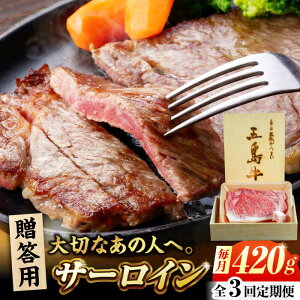 yӂ邳Ɣ[Łzy3ցzܓ T[C 420g p ܓs/Ƃ_Ƌg[PAF100]