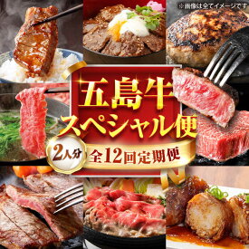 【ふるさと納税】【12回定期便】お届け内容が毎月変わる五島牛定期便（2名向け）五島市/ごとう農業協同組合[PAF104] 牛肉 和牛 五島列島 ステーキ すてーき ハンバーグ はんばーぐ 薄切り 焼き肉 焼肉