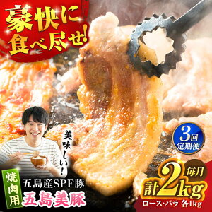 yӂ邳Ɣ[Łzy3ցzܓ ē2kg ([X1kg/o1kg) ܓs/Ƃ_Ƌg[PAF054]