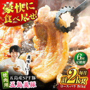 yӂ邳Ɣ[Łzy6ցzܓ ē2kg ([X1kg/o1kg) ܓs/Ƃ_Ƌg[PAF055]