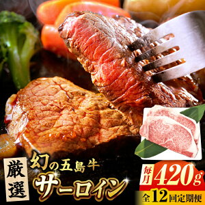 yӂ邳Ɣ[Łzy12ցzܓ T[CXe[L 210g×2   uh ܓs/Ƃ_Ƌg[PAF075]