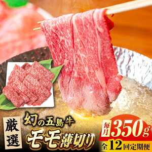 yӂ邳Ɣ[Łzy12ցzܓ ؂ 350g ܓs/Ƃ_Ƌg[PAF081]