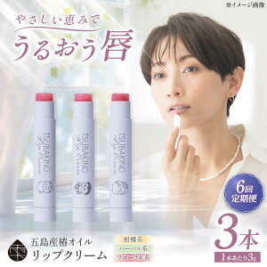 yӂ邳Ɣ[Łzy6ցzbvN[3{Zbg ܓs/В֔T[PAM055]