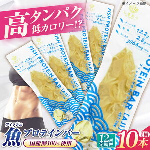 yӂ邳Ɣ[ŁzyS12ցztBbVveCo[i10{jܓs/܂ veCo[ veC ؃g [PAY066]