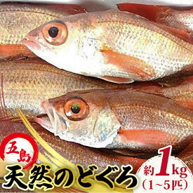 楽天市場 高級魚の通販