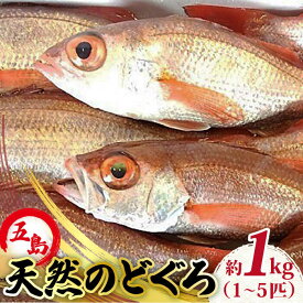 【ふるさと納税】天然のどくろ（エラ・内臓処理済）アカムツ 鮮魚 魚介 刺身 五島市 / 五島FF [PBJ005]